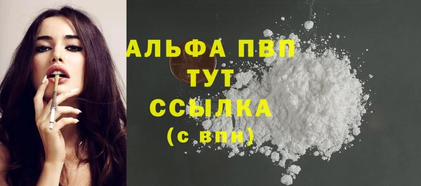 спиды Арсеньев