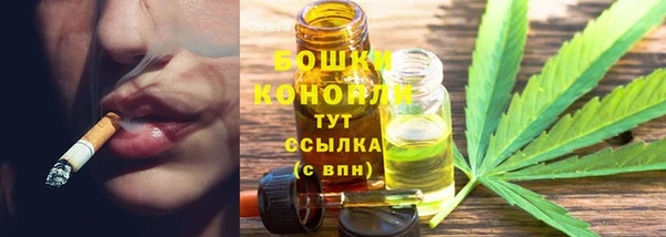 спиды Арсеньев
