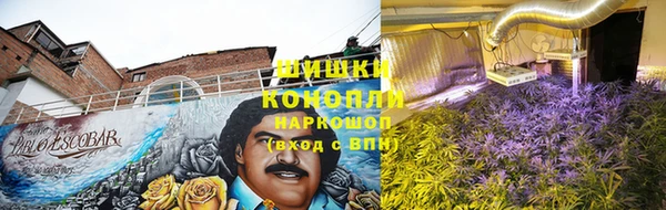 Альфа ПВП Армянск